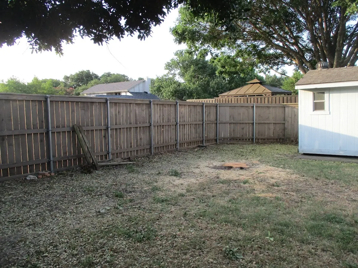 Cleared yard after professional tree removal in Mindoro